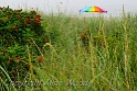 Foggy Beach Day SC2803